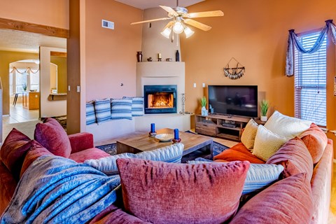 a living room with couches and a tv and a fireplace