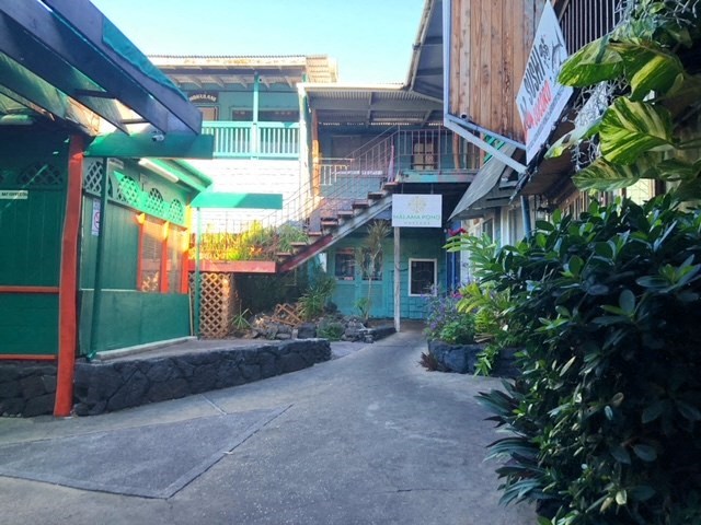 a street in a city with buildings and plants