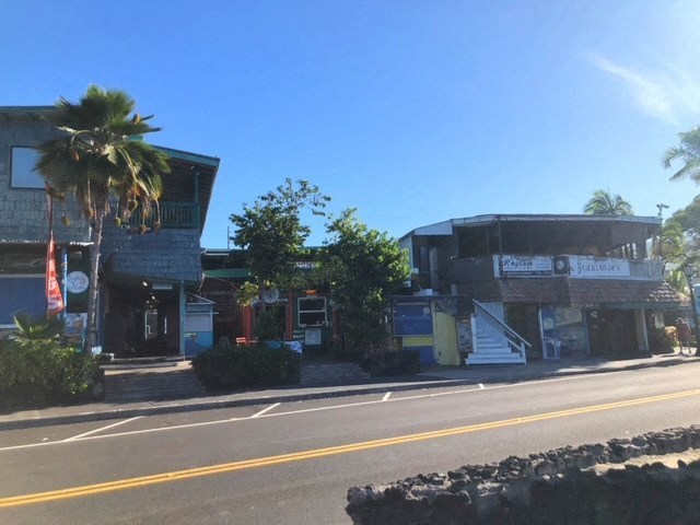 a building with a palm tree on the side of a street