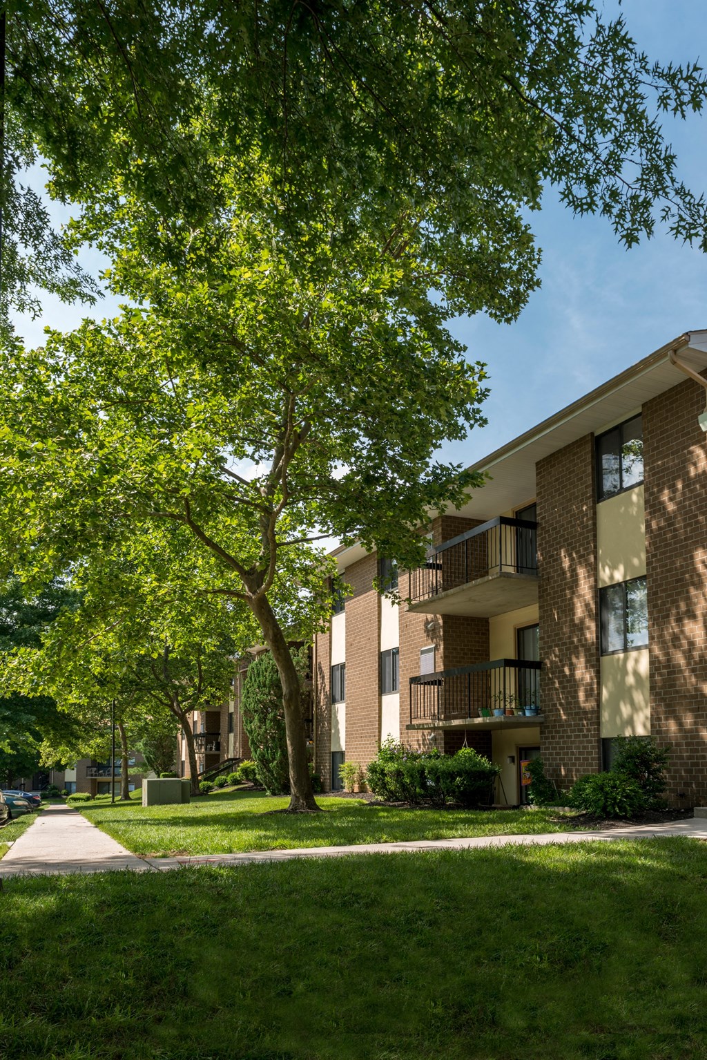 A tree in front of a building with a clear blue sky.