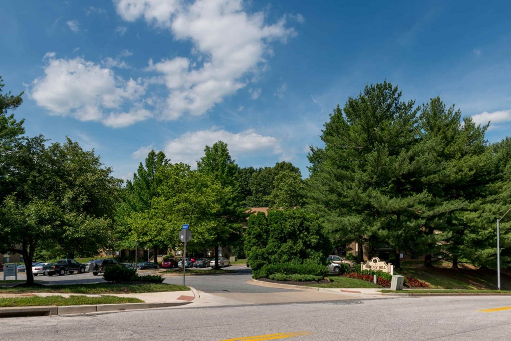 A tree-lined street with a blue sky and clouds.