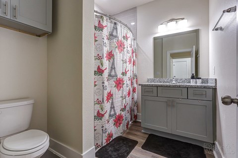a bathroom with a shower and a toilet and a sink