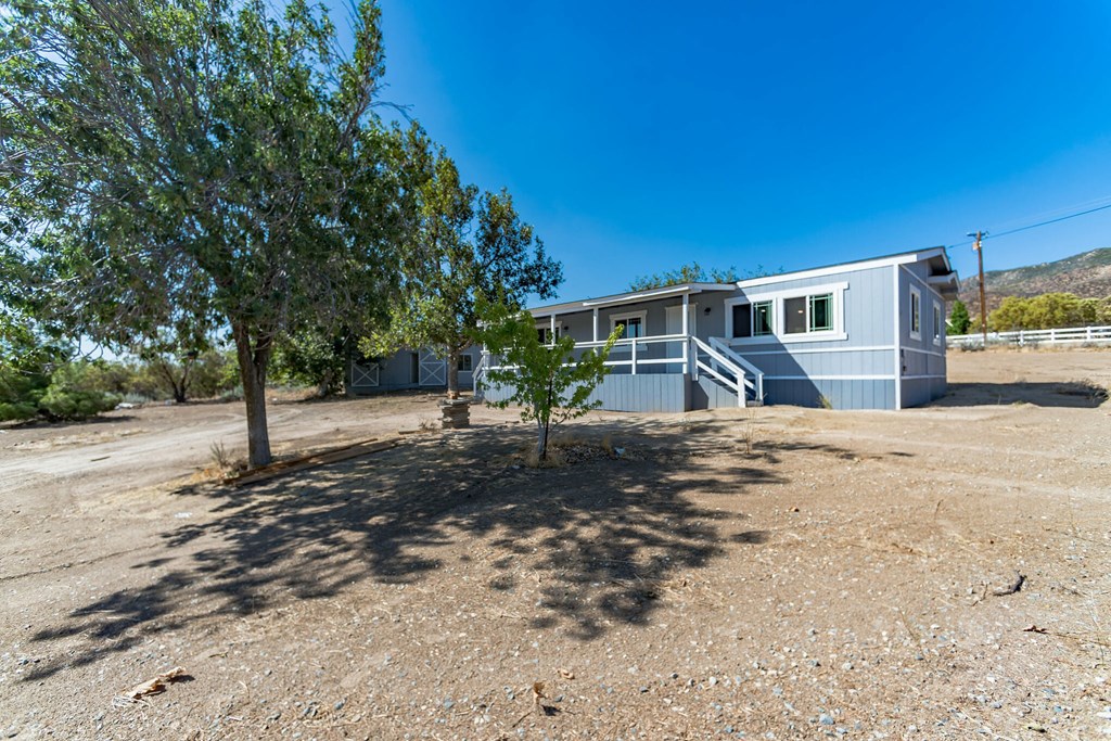 a small blue house with a tree in front of it