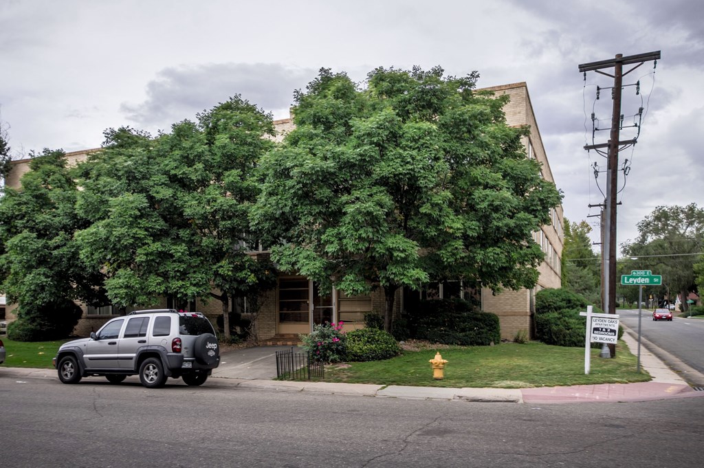 a car parked in front of a building with a tree