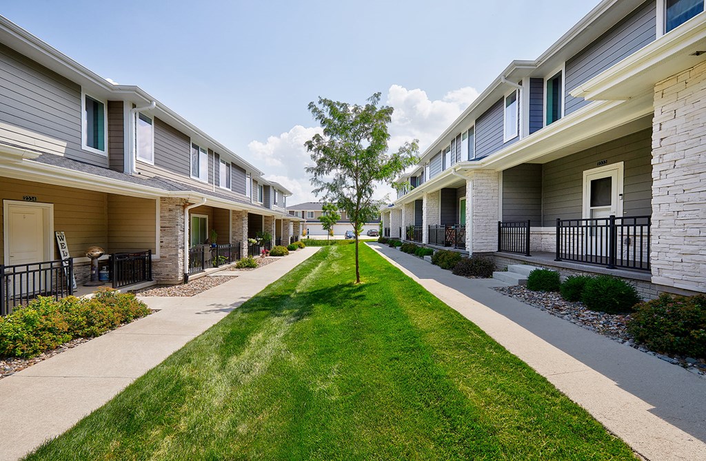 A tree stands in the middle of a grassy path between two rows of houses.