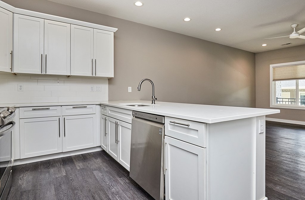 A kitchen with white cabinets and a stainless steel dishwasher.