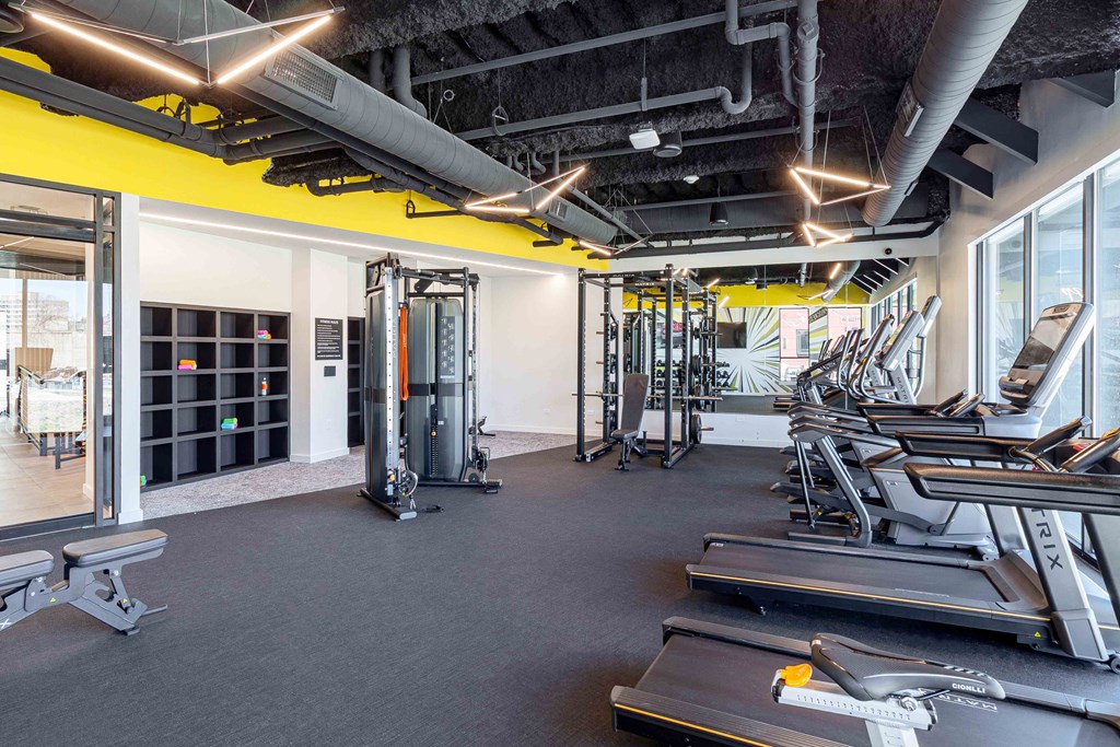 A gym with treadmills, weights, and other exercise equipment.