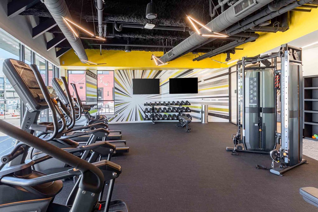 A gym with treadmills, elliptical machines, and a rowing machine.