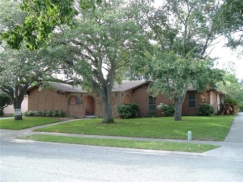 A tree in front of a brick building.