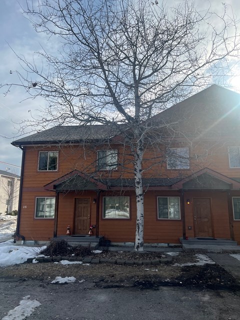 A house with a brown roof and a birch tree in front.