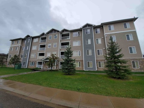 an apartment building with two pine trees in front of it