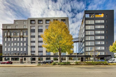 A modern building with a yellow tree in front.