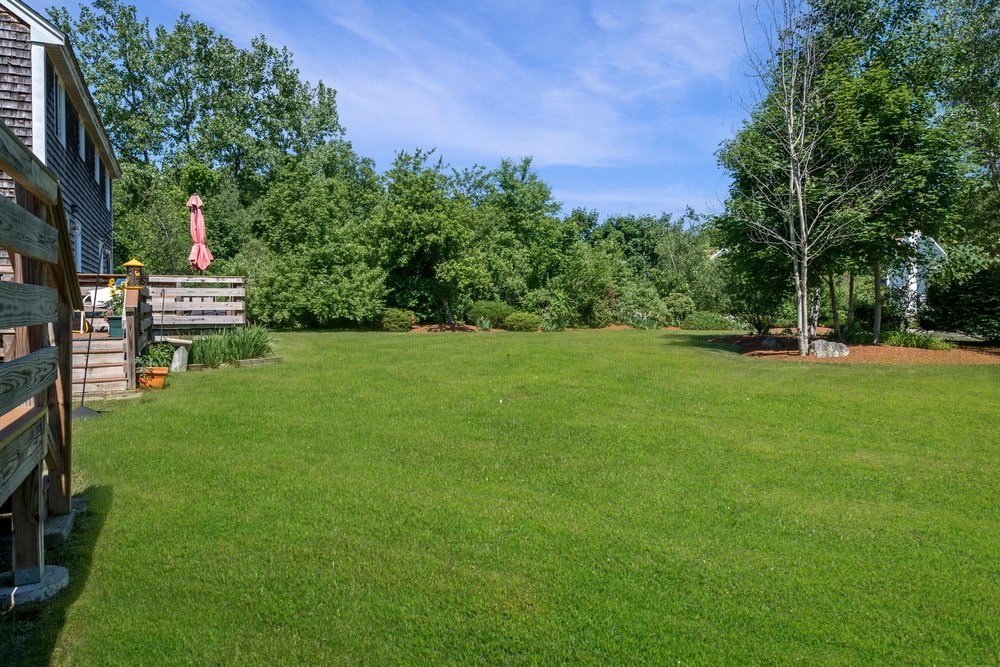a view of the yard from the side of the house