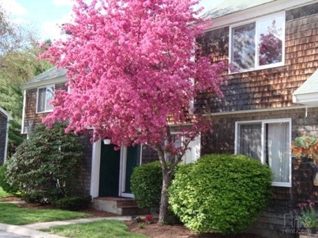 a pink flowering tree in front of a house