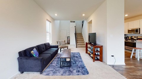 A living room with a black couch and a blue rug.