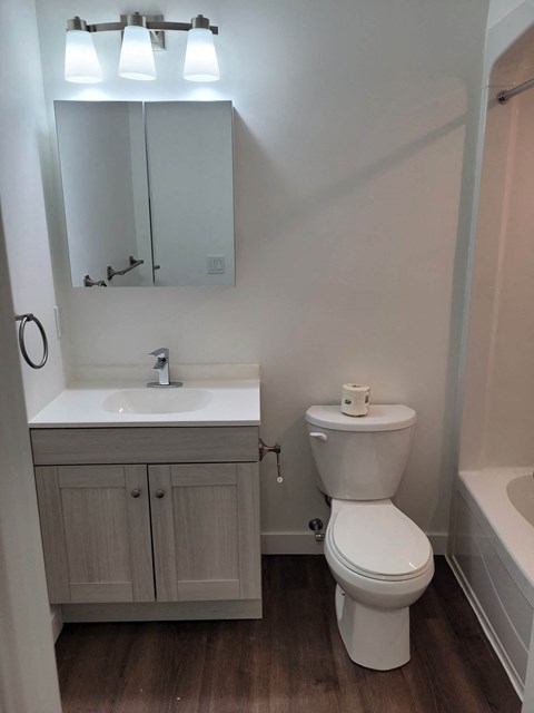 A white toilet sits next to a sink in a small bathroom.