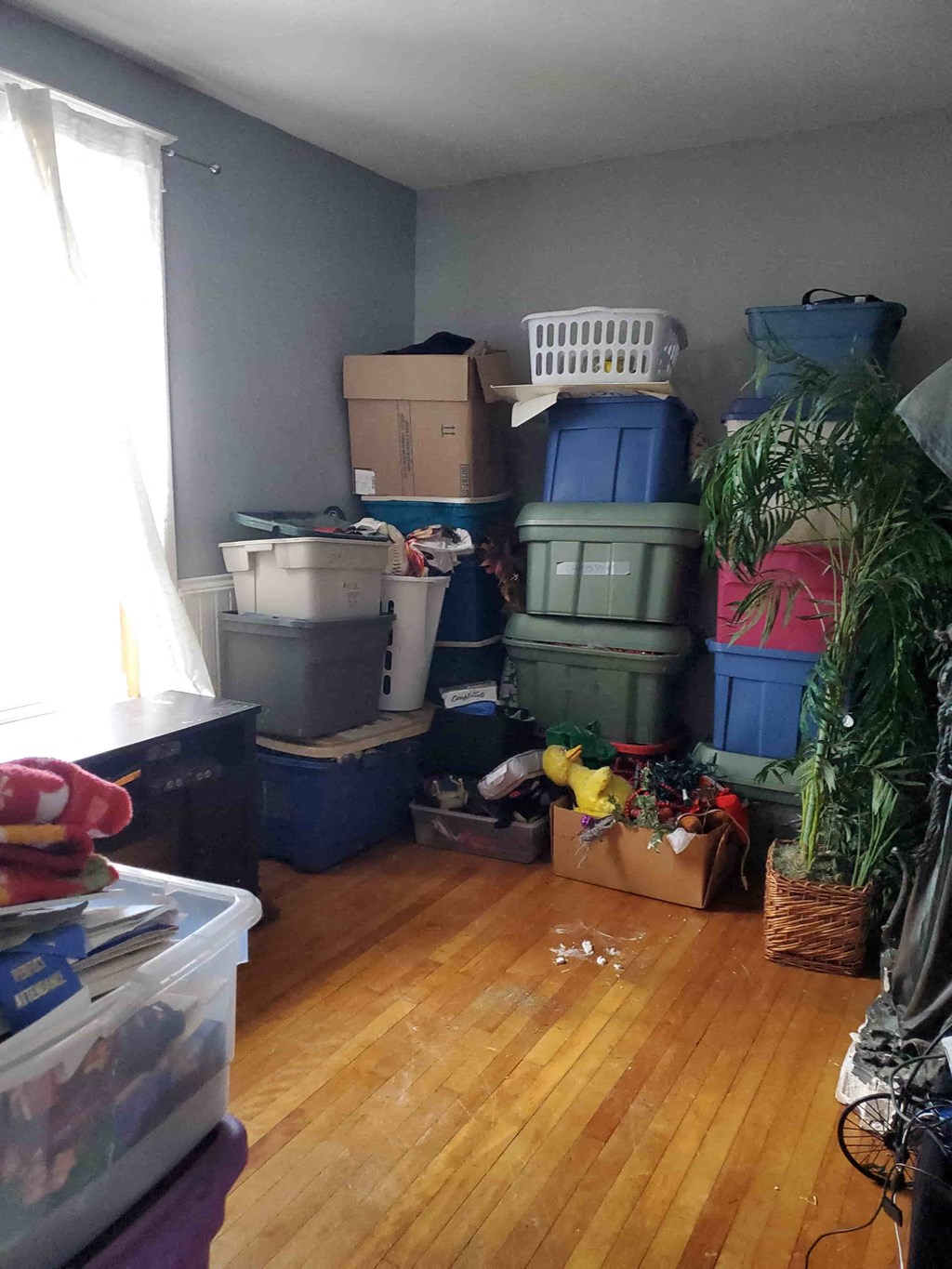 my living room filled with boxes and a wood floor