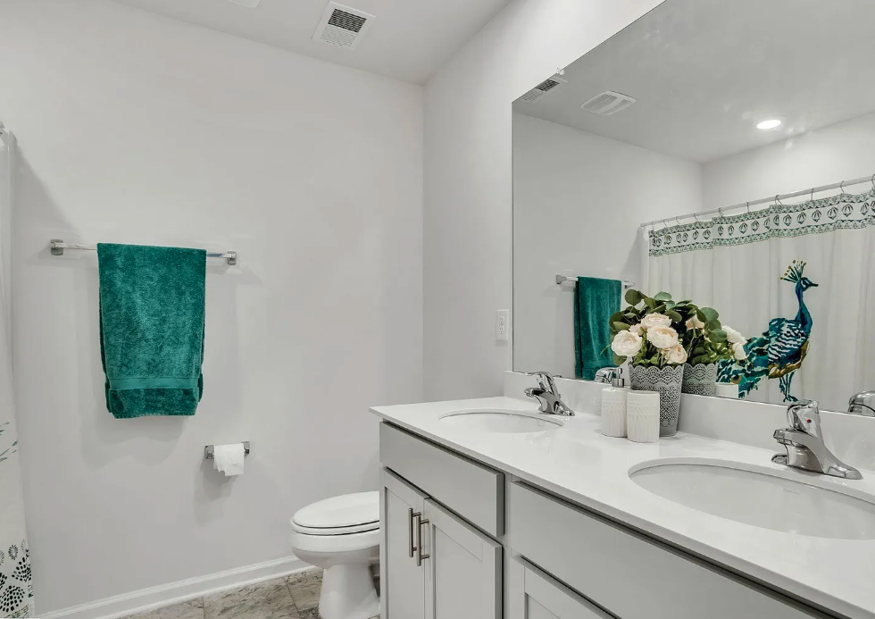 a bathroom with a sink and a toilet and a mirror