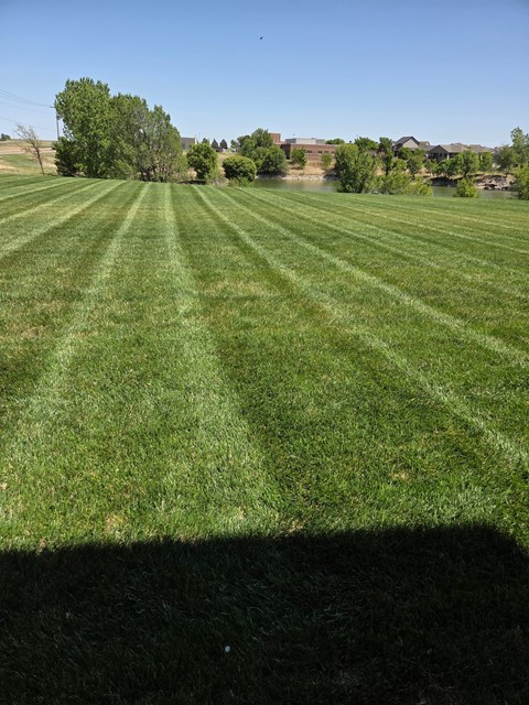 A large grassy field with a shadow cast on it.