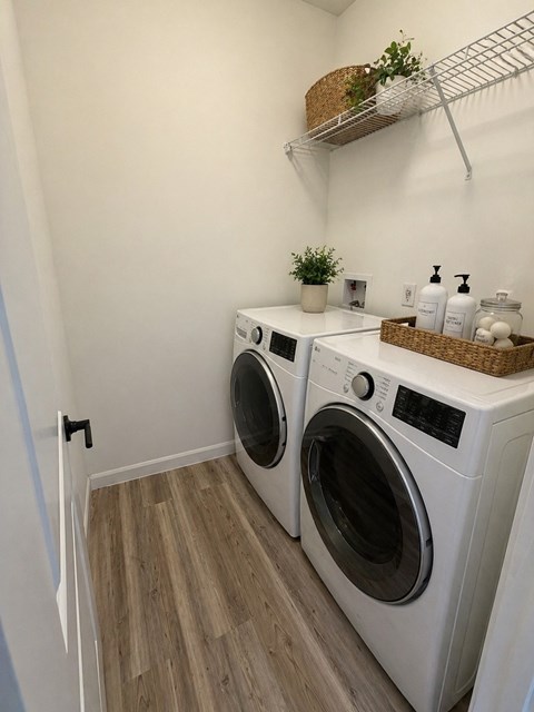 Waterside At The Gardens 2 Beds Apartment for Rent