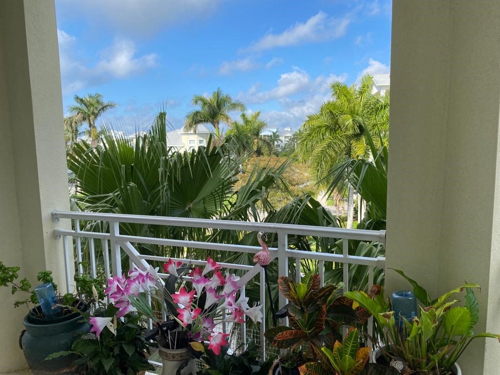a view of palm trees from a balcony with pink flowers