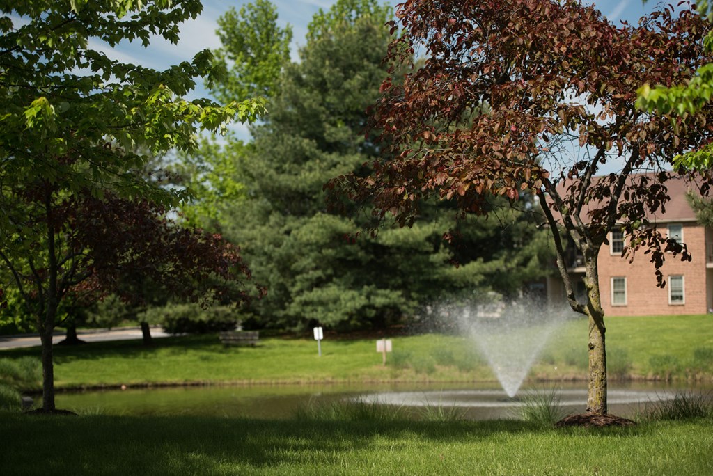 A lovely green space with trees, lush grass, and a pond with a fountain in the center near Severgn Apartments.