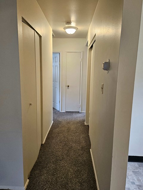 a hallway with a carpeted floor and white walls and a door to a closet