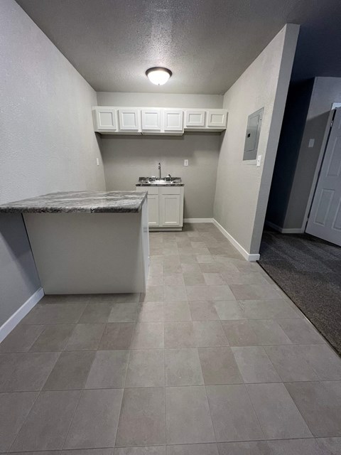 A kitchen with a sink and a counter.