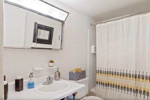 a bathroom with a sink and a mirror and a toilet