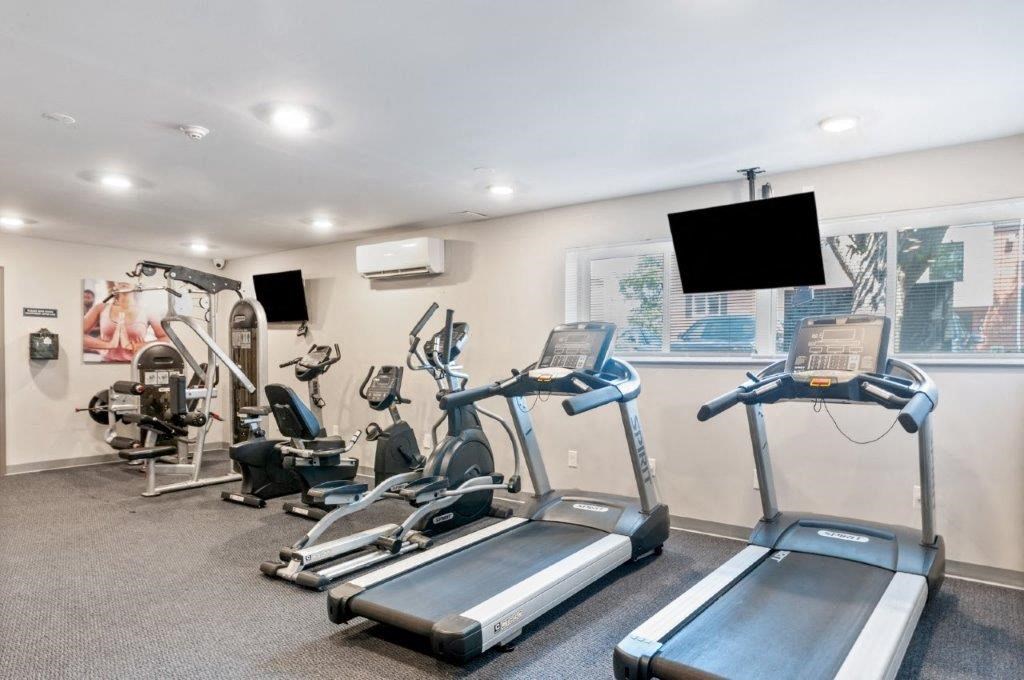 the gym is equipped with state of the art equipment