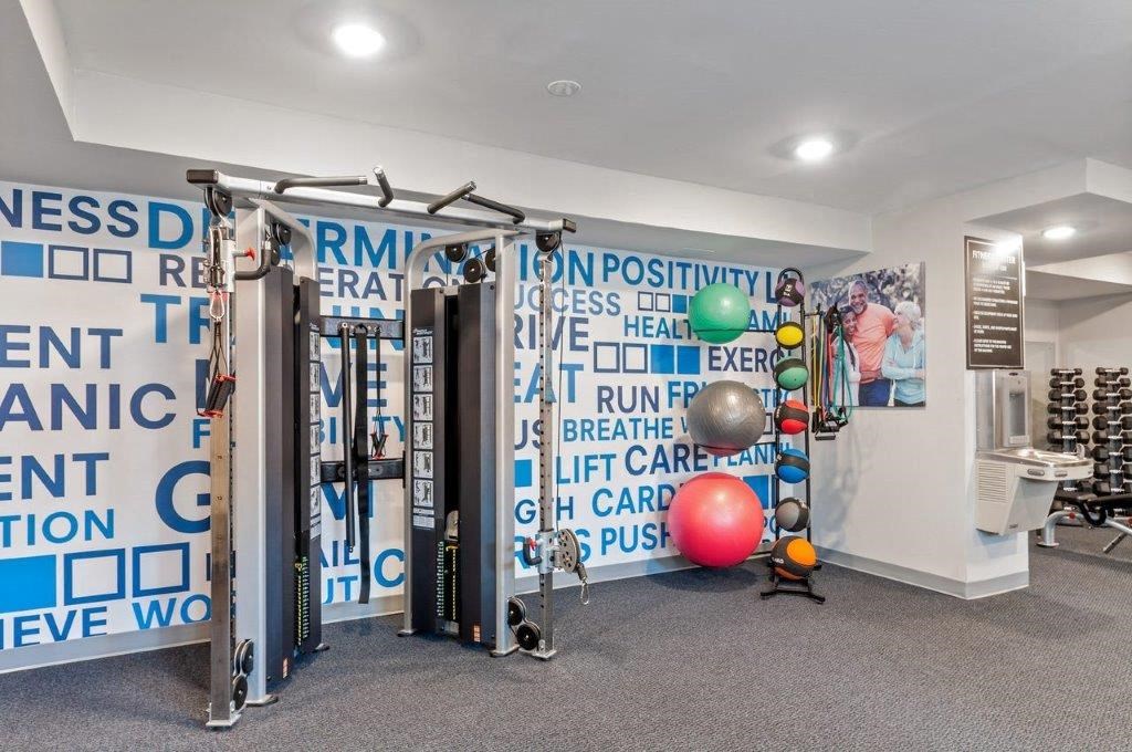 a gym with a wall of gym equipment in a home gym