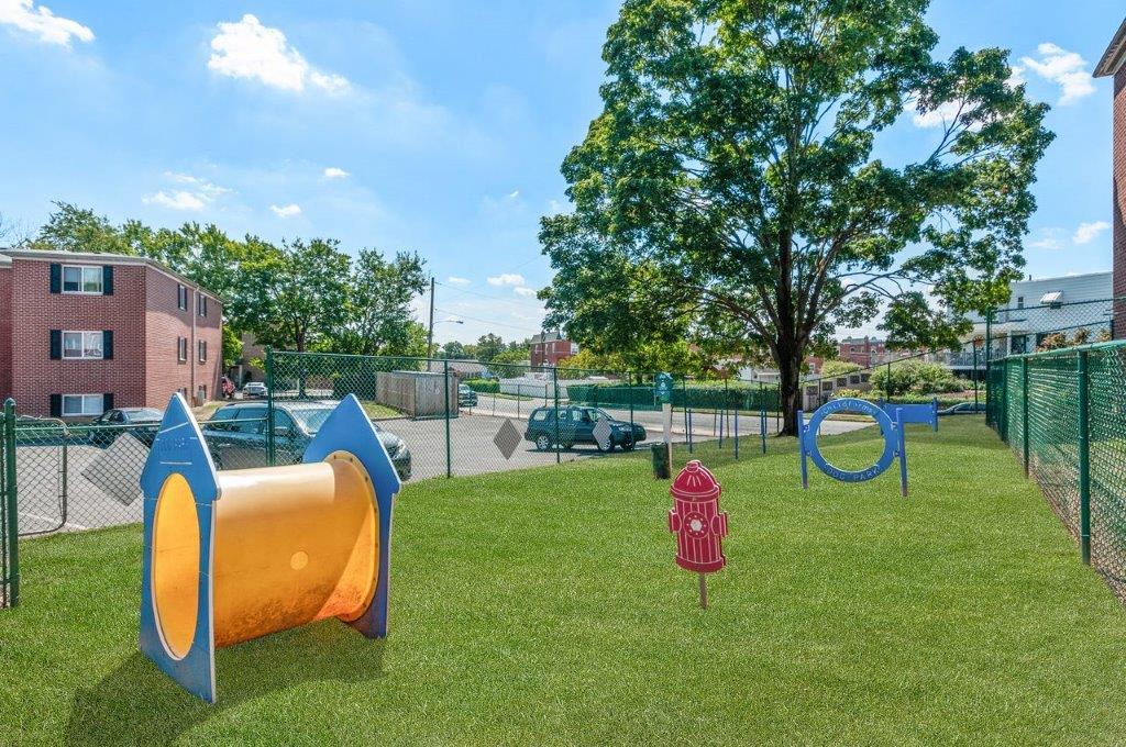 a playground with a fire hydrant and slides on the grass
