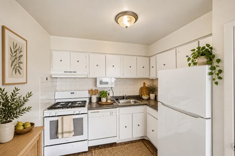 600 Red Lion Rd. Apt H-8 1-2 Beds Apartment for Rent