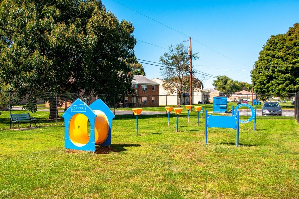 a park with a bunch of playground equipment in the grass