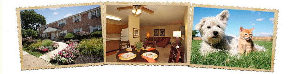 camp hill plaza apartment homes apartment and community amenities