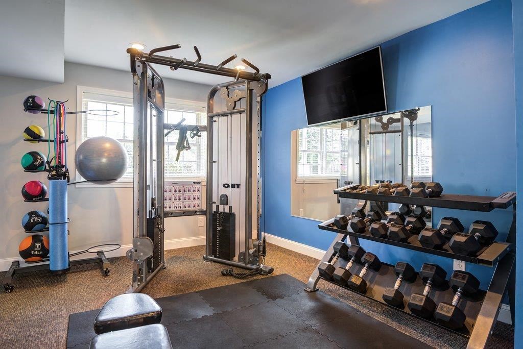 a gym with weights and a tv in the corner