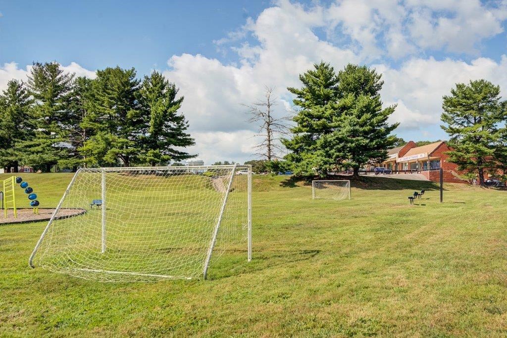 a soccer goal on a field in a park