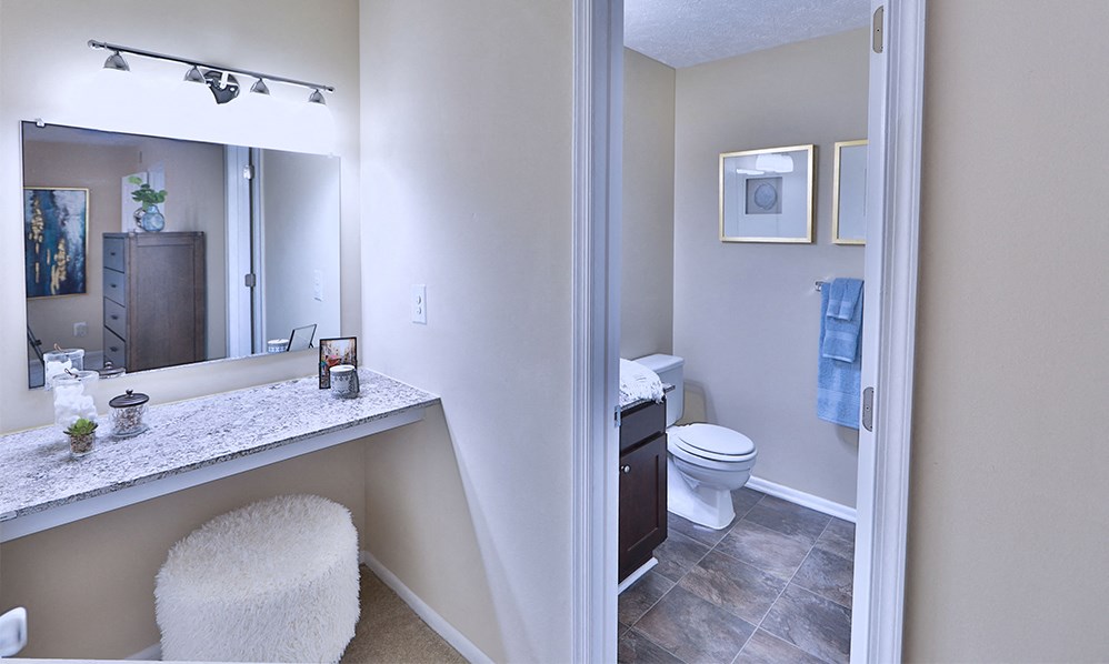a bathroom with a sink and a toilet and a mirror