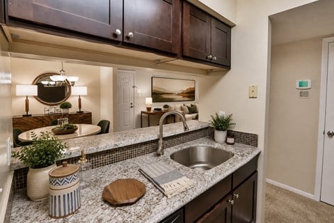 A kitchen with a sink and a counter.