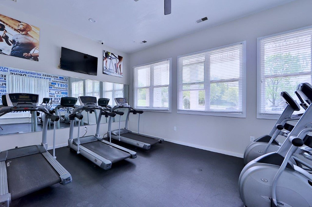the gym is equipped with cardio equipment and a flat screen tv