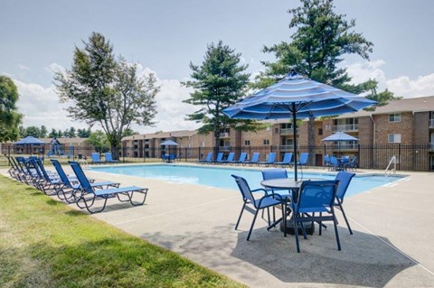 our apartments have a swimming pool with chairs and umbrellas