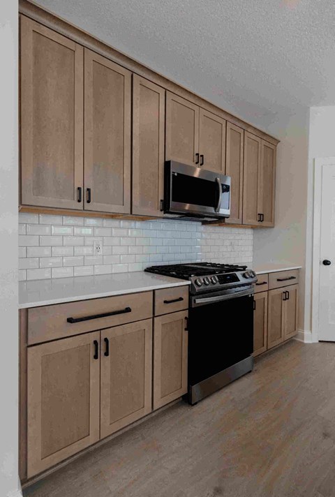 13386 Fondant Trl. N. 3 Beds Apartment for Rent