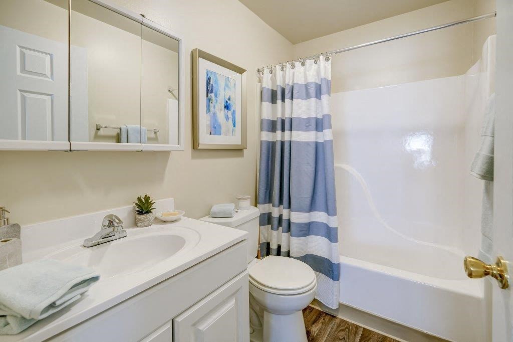 a bathroom with a sink toilet and a shower