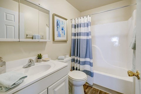 a bathroom with a sink toilet and a shower