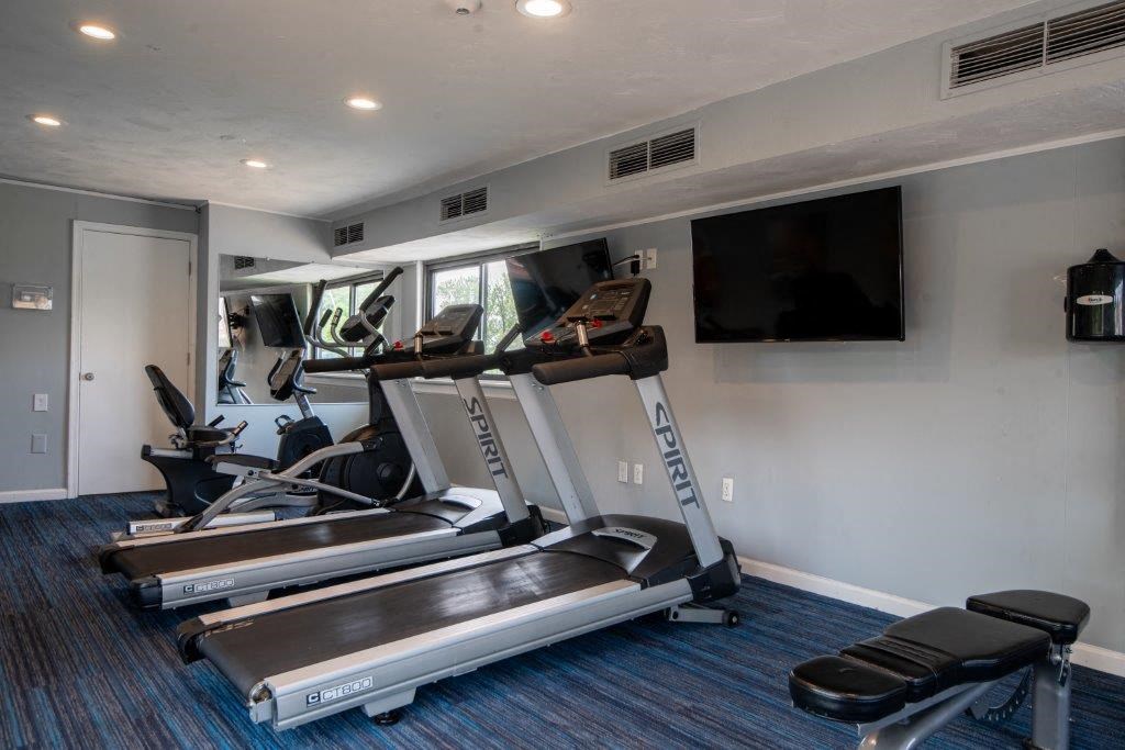 the gym is equipped with cardio equipment and a flat screen tv