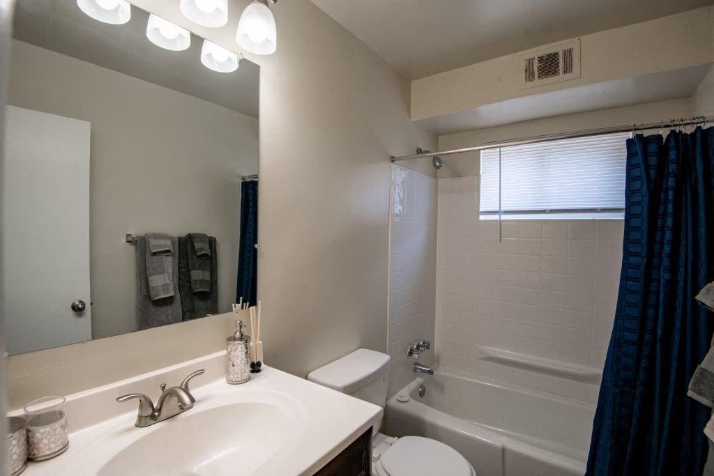 a bathroom with a sink and a toilet and a bath tub