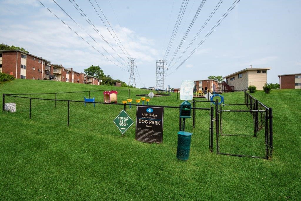a dog park in a field with houses in the background