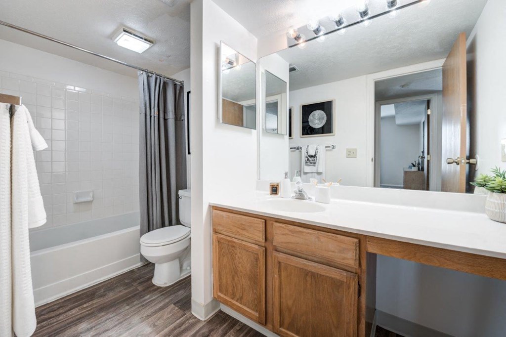 a bathroom with a sink and a toilet and a mirror