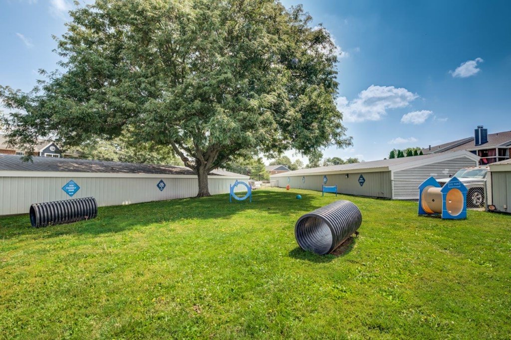 a yard with a tree and some barrels in the grass