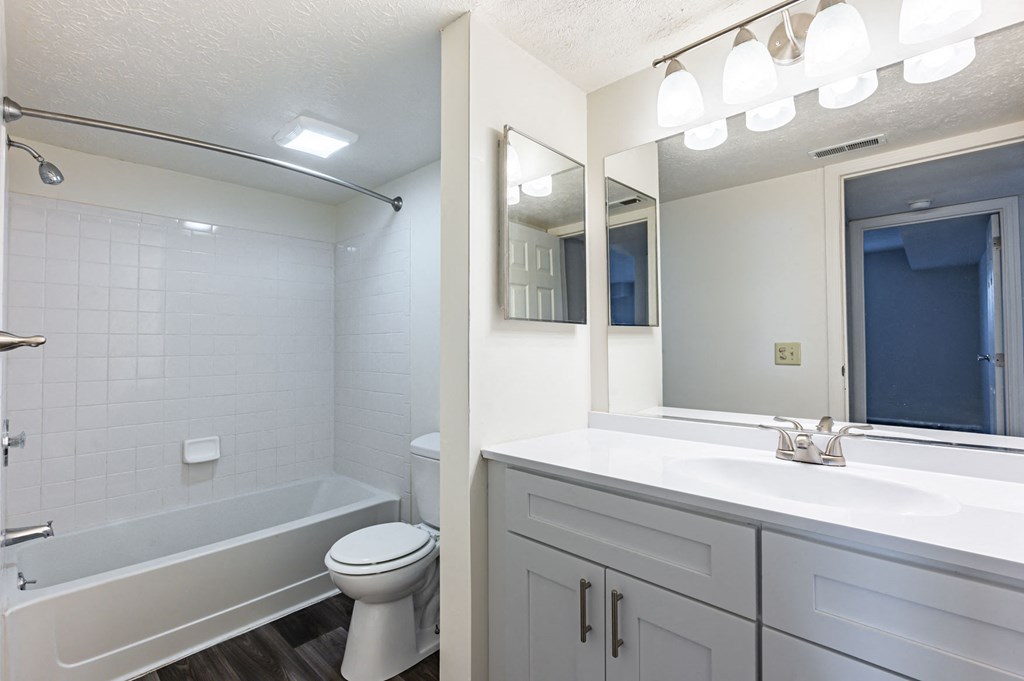a bathroom with a sink and a toilet and a tub